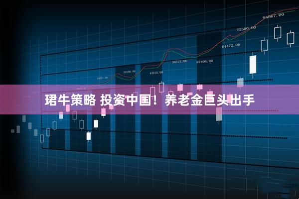 珺牛策略 投资中国！养老金巨头出手